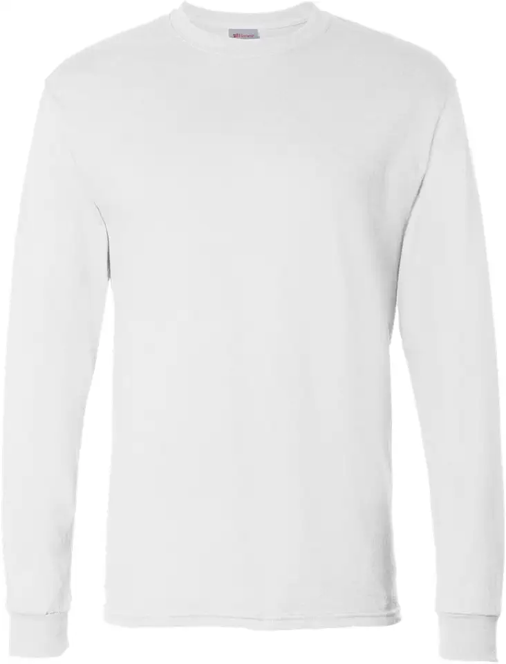 Hanes Men's Essentials Long-Sleeve T-Shirt, Crewneck Cotton T-Shirts for Men, 2-Pack