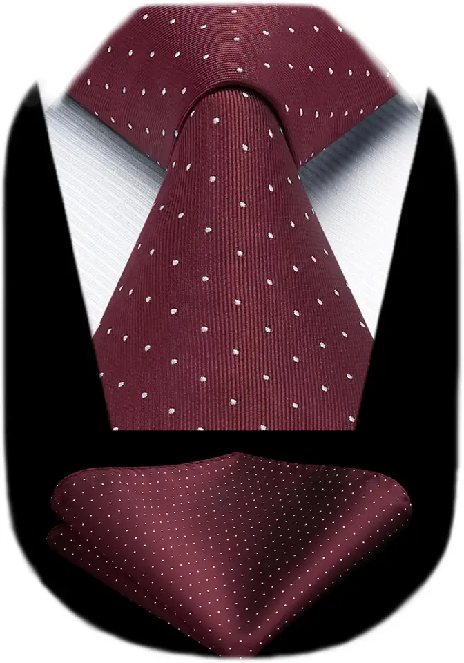 HISDERN Polka Dot Ties for Men Classic Silk Ties and Pocket Square Formal Business Necktie Handkerchief Wedding Party