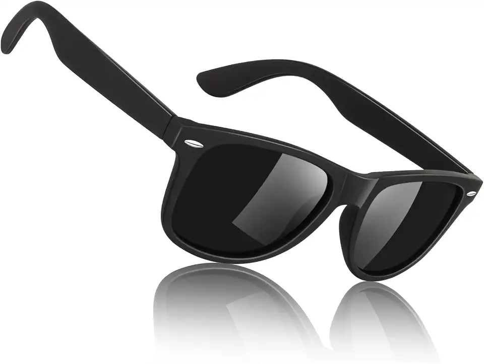 Men's Black Wayfarer Sunglasses