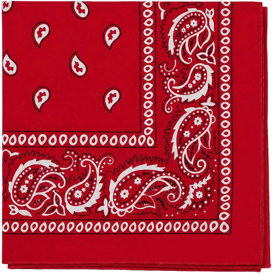 Motique Accessories Extra Large Paisley Bandana 27x27 Inch