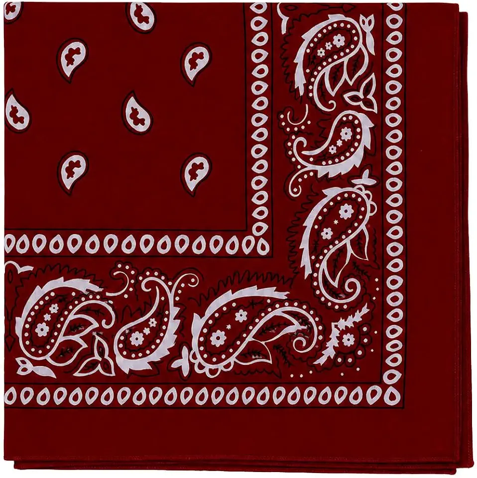 Motique Accessories Extra Large Paisley Bandana 27x27 Inch
