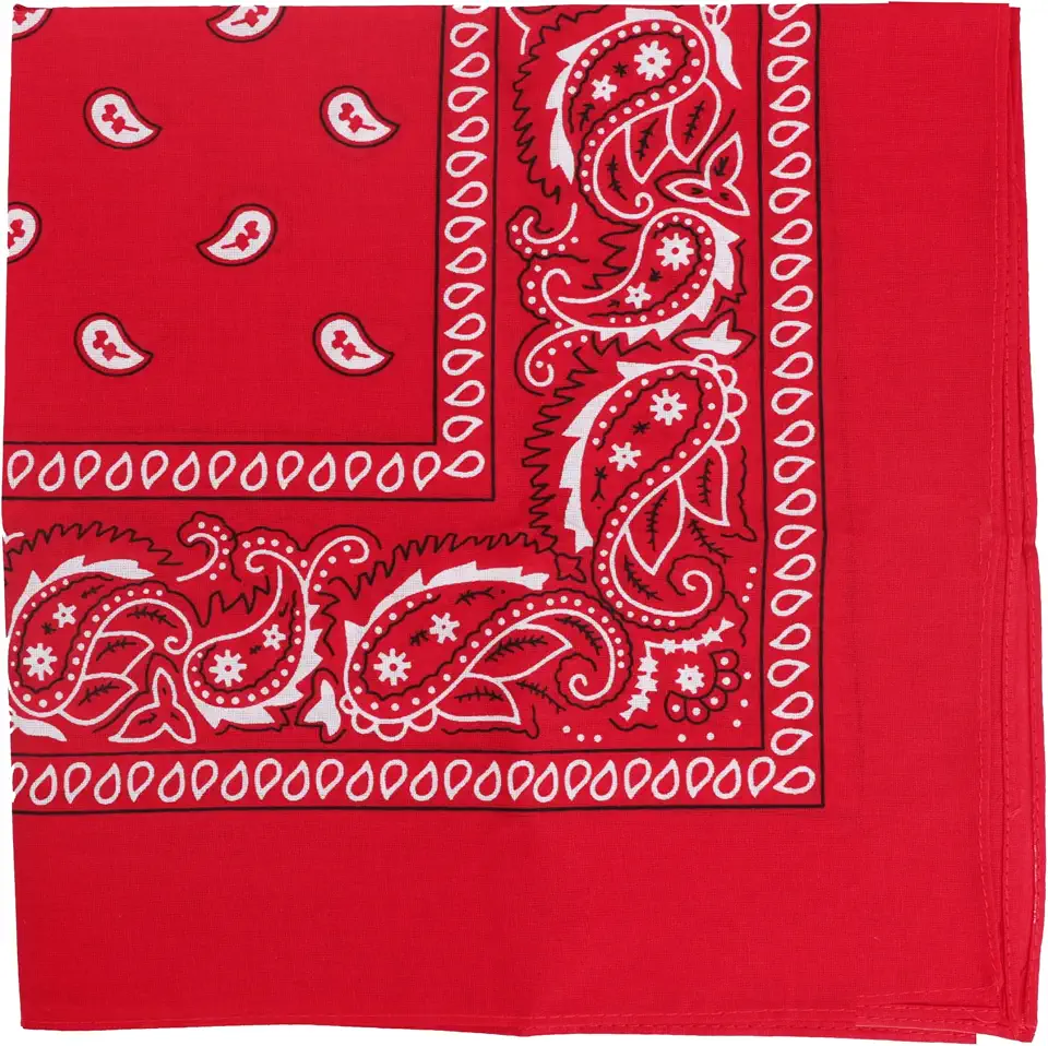 Motique Accessories 22 Inch Cotton Paisley Bandana