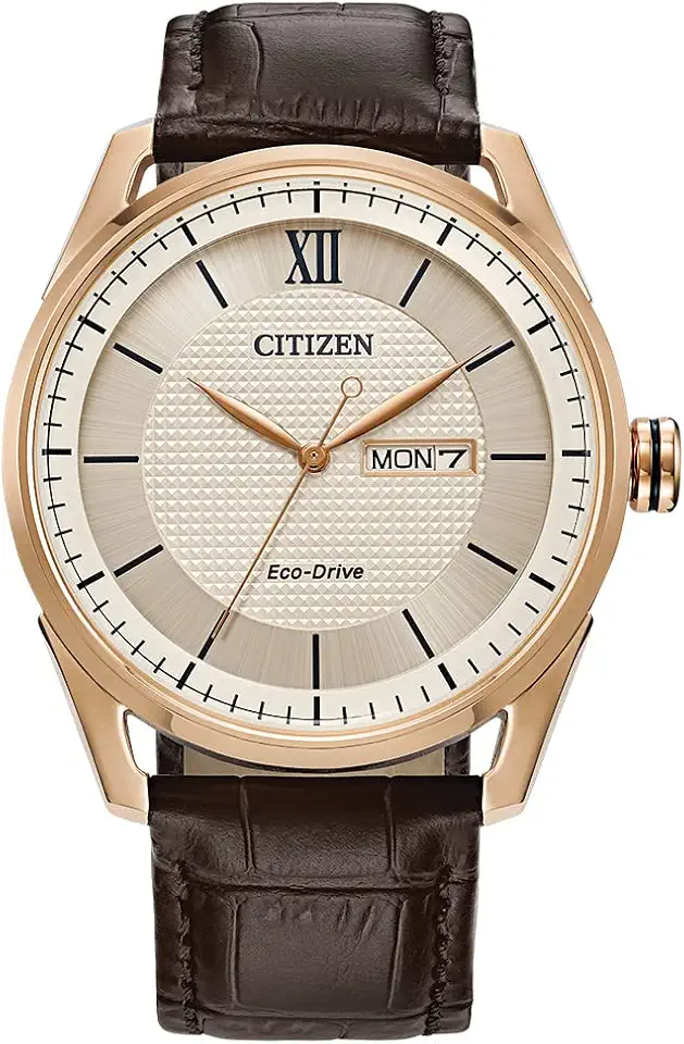 Leather Working Group Citizen Men's Classic Eco-Drive Watch with 3-Hand Day and Date