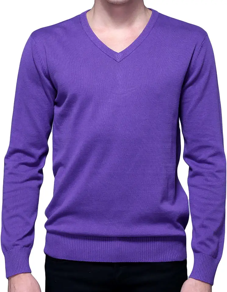 Men's Purple Long Sleeve V Neck Sweater