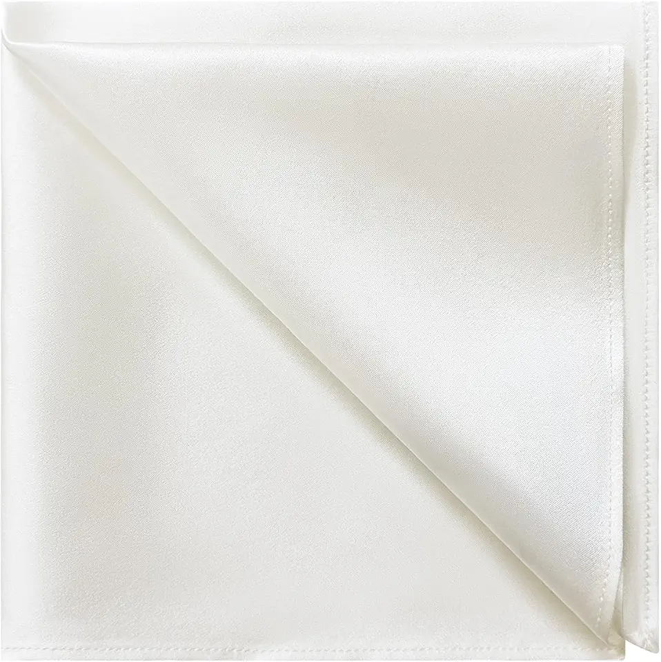 OEKO-TEX STANDARD 100 DAISYSILK 100% Mulberry Silk Pocket Square for Men, 19 Momme