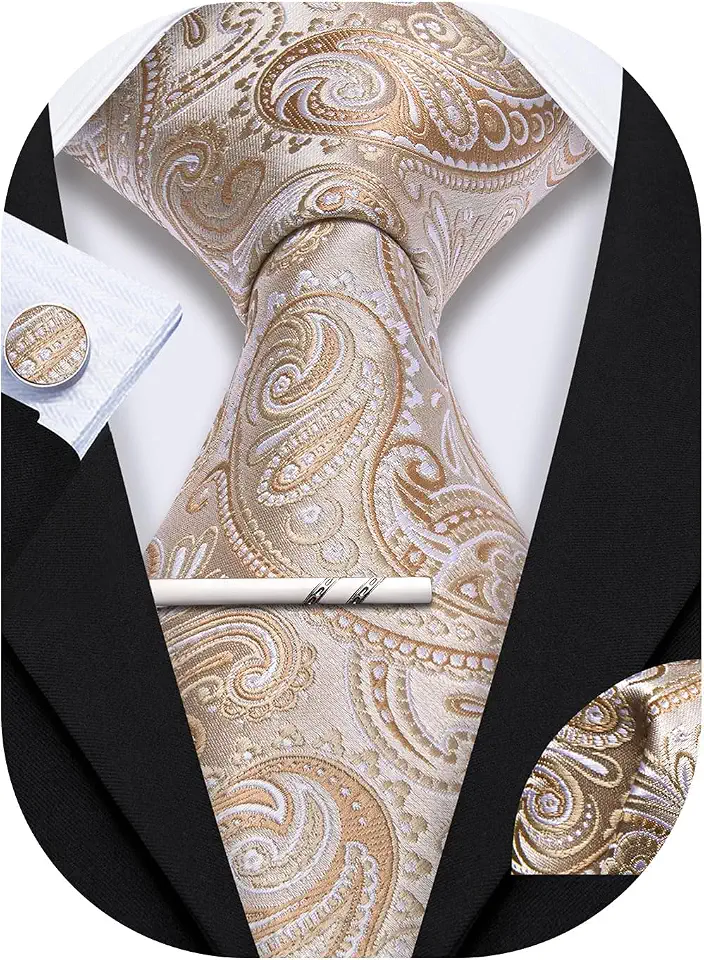 Mens Ties Set Wedding Paisley Neckties with Handkerchief Cufflinks Formal Business