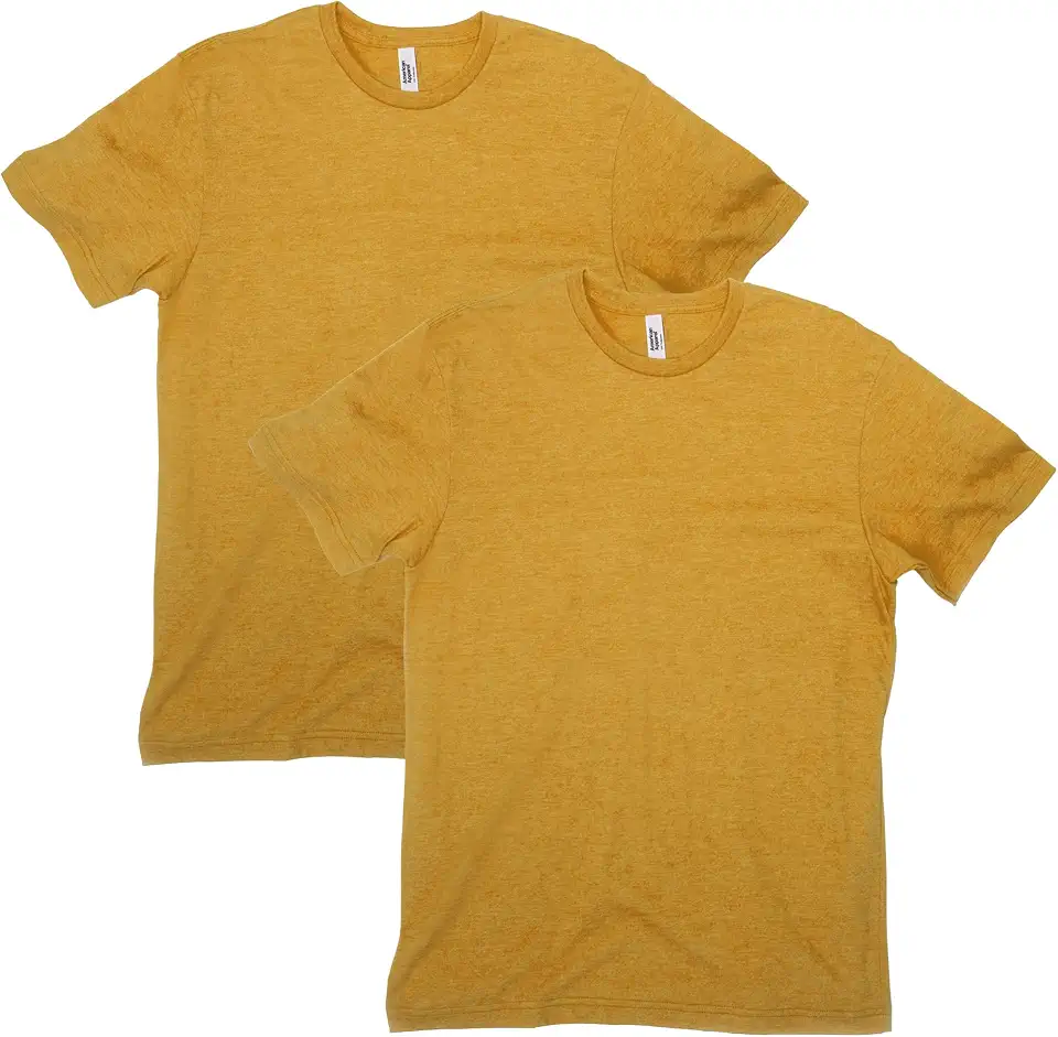 American Apparel Unisex Adult CVC T-Shirt, Style G2001cvc, 2-Pack