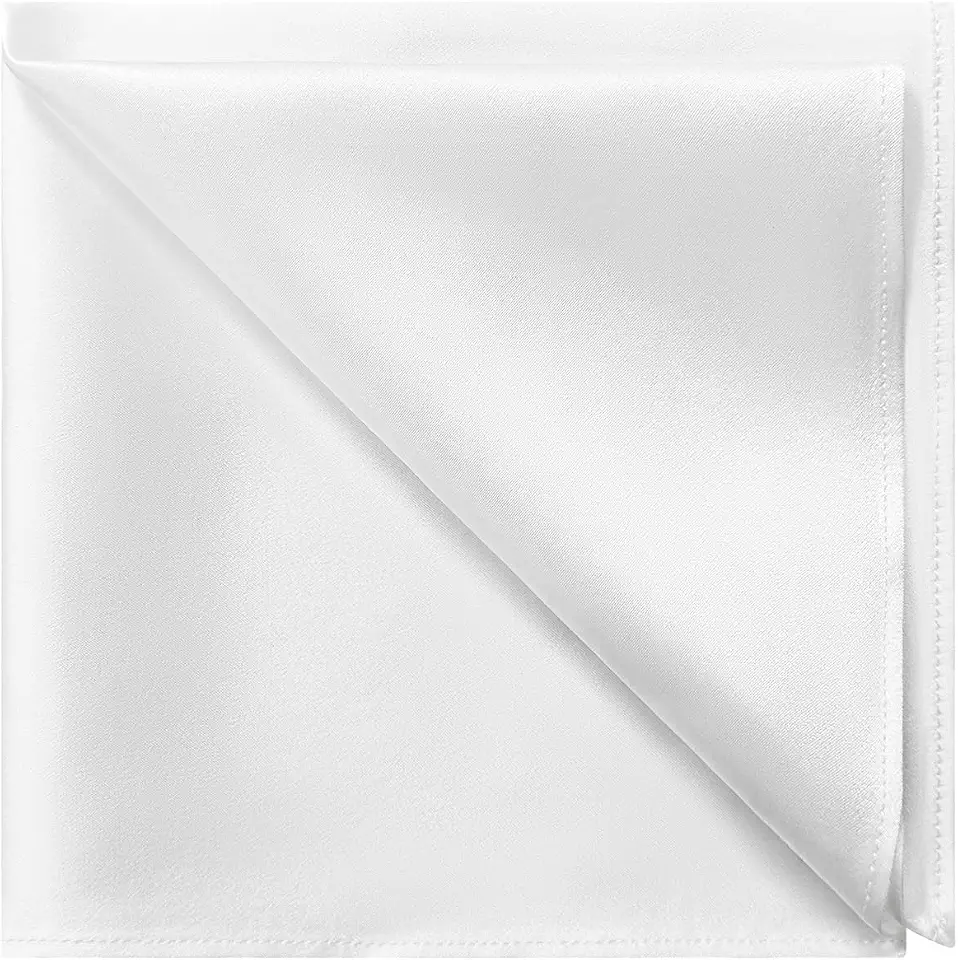 OEKO-TEX STANDARD 100 DAISYSILK 100% Mulberry Silk Pocket Square for Men, 19 Momme