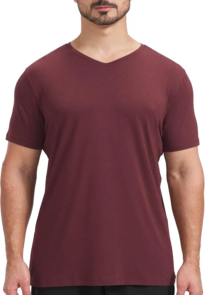 Men's Ultra-Soft V-Neck Bamboo Viscose Cotton T-Shirt | Moisture-Wicking, Lightweight, Odor-resistant, Sleep Short Sleeve, Casual Lounge Basic Shirt
