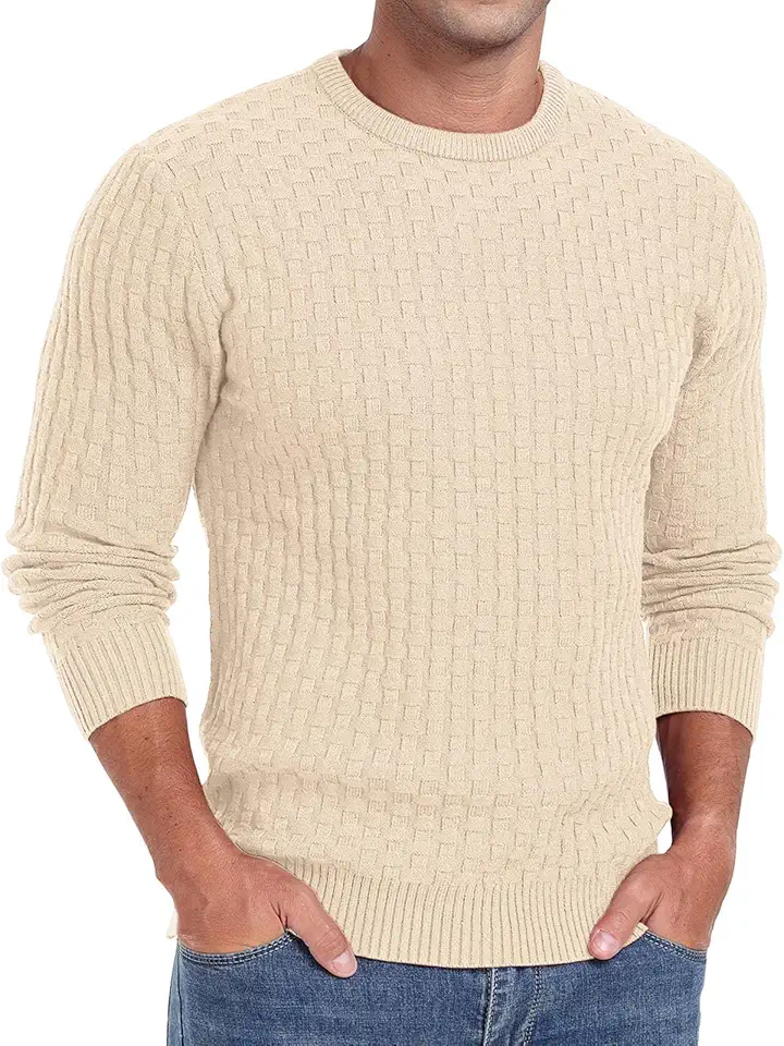 Men's Regular Fit Beige Long Sleeve Crewneck Sweater