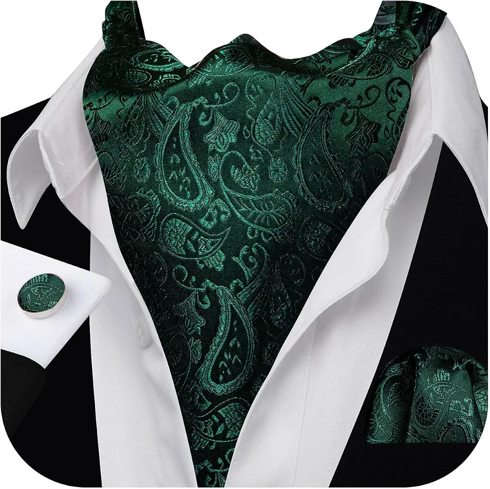 Barry.Wang Ascot for Men Cravat Tie Sets Paisley Scarf Self Tie Necktie