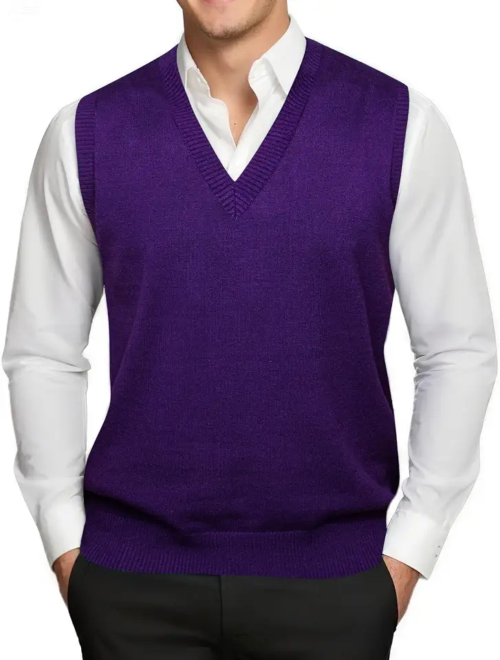 Men's Purple V Neck Sweater