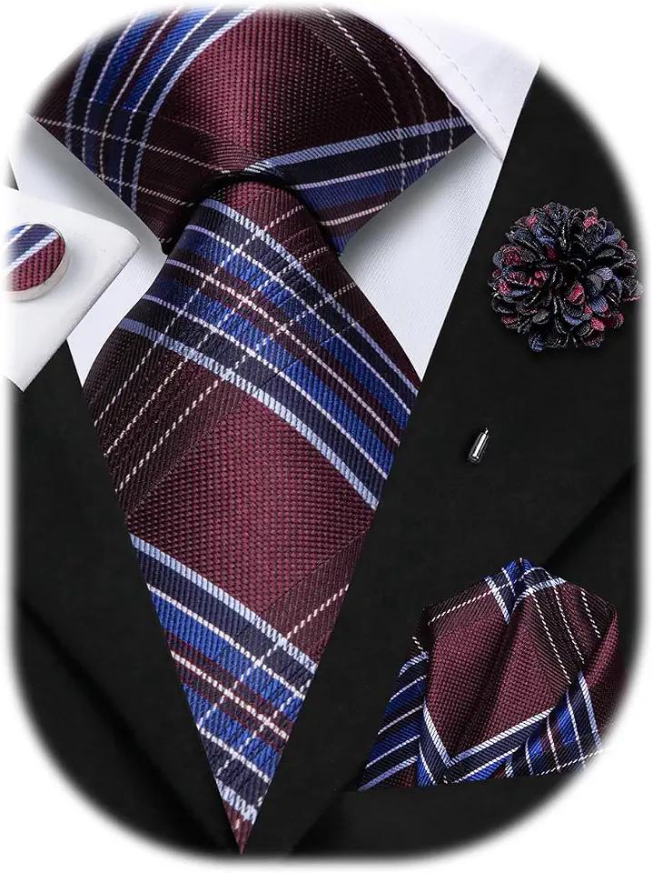 Hi-Tie Mens Paisley Floral Striped Ties Set Silk Necktie and Lapel Pin for Men Pocket Square Cufflinks Set Business Wedding